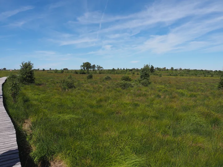 Signal de Botrange (Belgium)